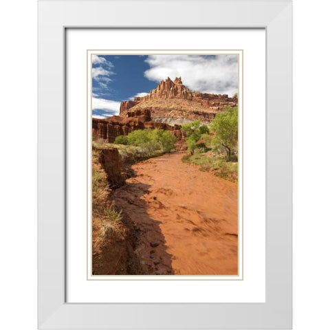 UT, Capitol Reef NP Fremont River after rain White Modern Wood Framed Art Print with Double Matting by Welling, Dave