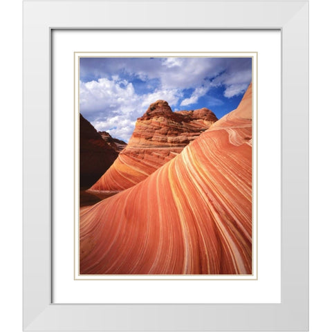 Utah, Paria Canyon The Wave formation, sandstone White Modern Wood Framed Art Print with Double Matting by Flaherty, Dennis