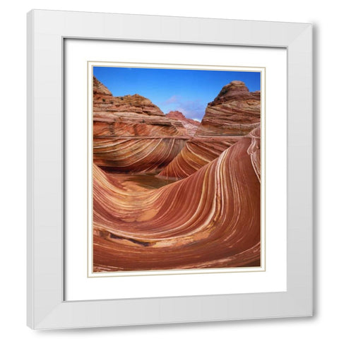 Utah, Paria Canyon The Wave formation, sandstone White Modern Wood Framed Art Print with Double Matting by Flaherty, Dennis