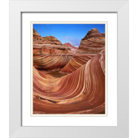 Utah, Paria Canyon The Wave formation, sandstone White Modern Wood Framed Art Print with Double Matting by Flaherty, Dennis