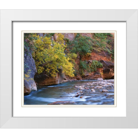 Utah, Zion NP The Virgin River in the Narrows White Modern Wood Framed Art Print with Double Matting by Flaherty, Dennis