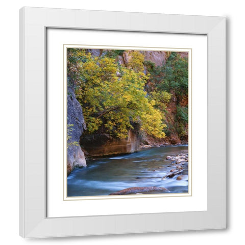 Utah, Zion NP The Virgin River in the Narrows White Modern Wood Framed Art Print with Double Matting by Flaherty, Dennis