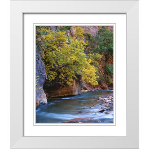 Utah, Zion NP The Virgin River in the Narrows White Modern Wood Framed Art Print with Double Matting by Flaherty, Dennis