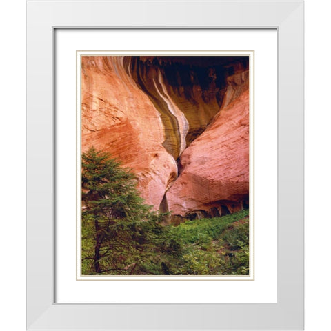 USA, Utah, Zion NP View of Double-Arch Alcove White Modern Wood Framed Art Print with Double Matting by Flaherty, Dennis