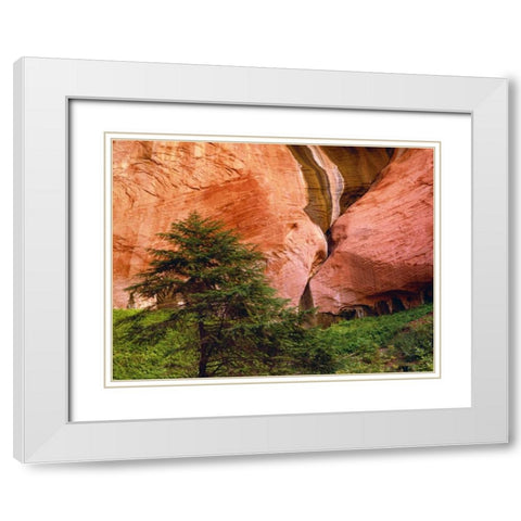 USA, Utah, Zion NP View of Double-Arch Alcove White Modern Wood Framed Art Print with Double Matting by Flaherty, Dennis