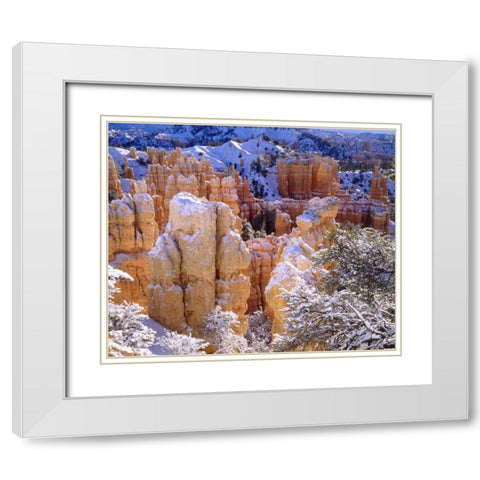 Utah, Bryce Canyon NP in Winter White Modern Wood Framed Art Print with Double Matting by Talbot Frank, Christopher