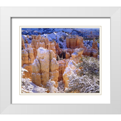 Utah, Bryce Canyon NP in Winter White Modern Wood Framed Art Print with Double Matting by Talbot Frank, Christopher