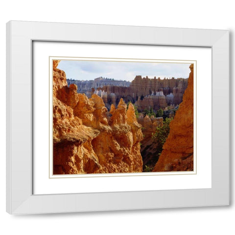 Utah, Bryce Canyon NP Sandstone formations White Modern Wood Framed Art Print with Double Matting by Talbot Frank, Christopher