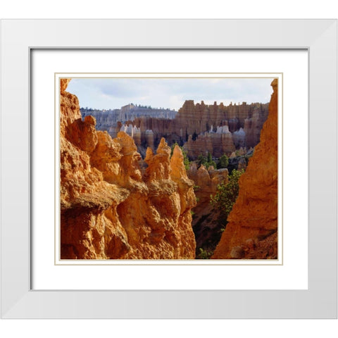 Utah, Bryce Canyon NP Sandstone formations White Modern Wood Framed Art Print with Double Matting by Talbot Frank, Christopher