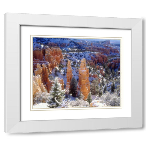 USA, Utah, Bryce Canyon NP Winter White Modern Wood Framed Art Print with Double Matting by Talbot Frank, Christopher