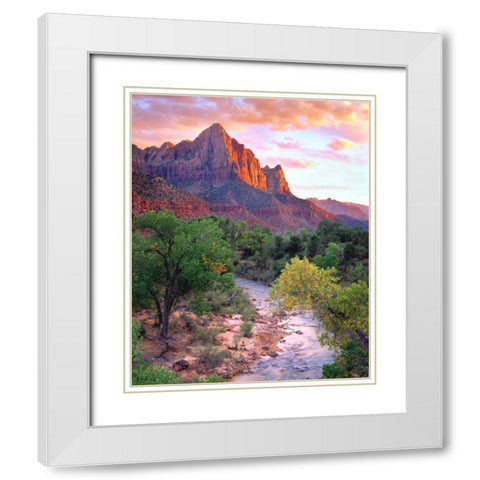 Utah, Zion NP at Sunset White Modern Wood Framed Art Print with Double Matting by Talbot Frank, Christopher