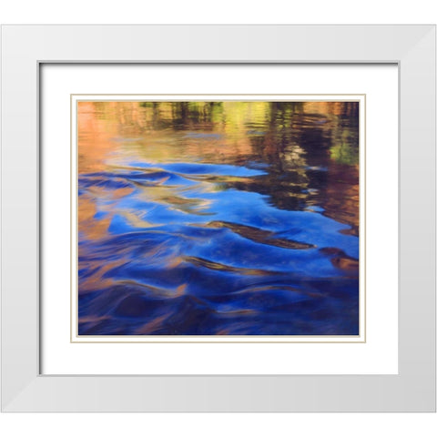 Utah, Zion NP Abstract view of the Virgin River White Modern Wood Framed Art Print with Double Matting by Talbot Frank, Christopher