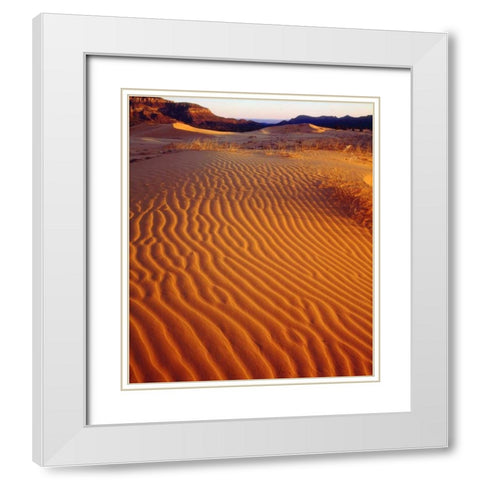 USA, Utah Coral Pink Sand Dunes at sunset White Modern Wood Framed Art Print with Double Matting by Talbot Frank, Christopher