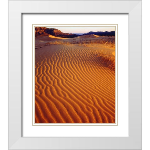 USA, Utah Coral Pink Sand Dunes at sunset White Modern Wood Framed Art Print with Double Matting by Talbot Frank, Christopher