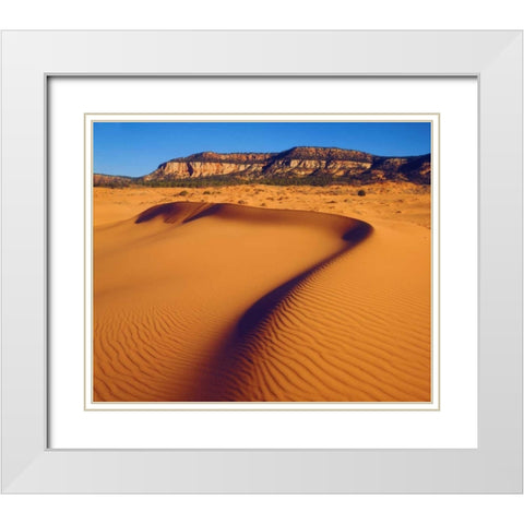 USA, Utah Coral Pink Sand Dunes at sunset White Modern Wood Framed Art Print with Double Matting by Talbot Frank, Christopher