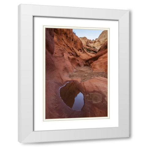 UT, Capitol Reef Lower Muley Twist Canyon pools White Modern Wood Framed Art Print with Double Matting by Illg, Cathy and Gordon