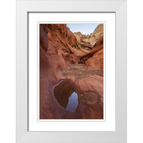 UT, Capitol Reef Lower Muley Twist Canyon pools White Modern Wood Framed Art Print with Double Matting by Illg, Cathy and Gordon