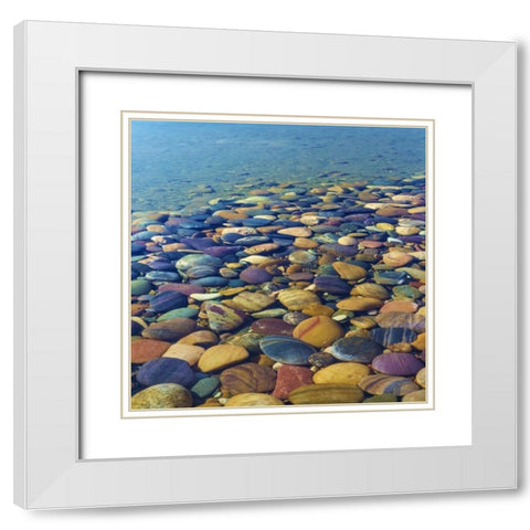 USA, Utah Colorful rocks in Lake Powell White Modern Wood Framed Art Print with Double Matting by Paulson, Don