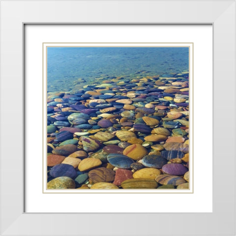 USA, Utah Colorful rocks in Lake Powell White Modern Wood Framed Art Print with Double Matting by Paulson, Don