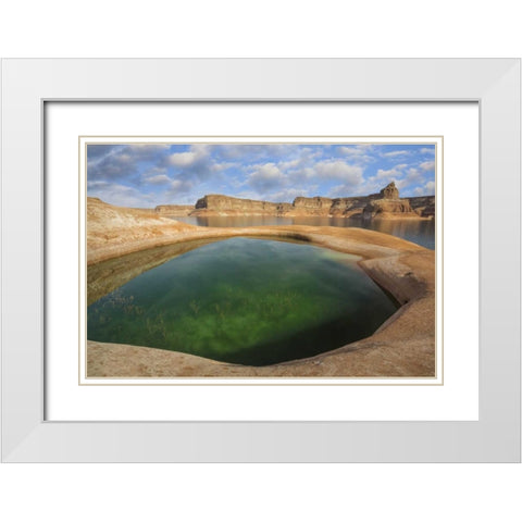 Utah, Glen Canyon Pool of water at Lake Powell White Modern Wood Framed Art Print with Double Matting by Paulson, Don