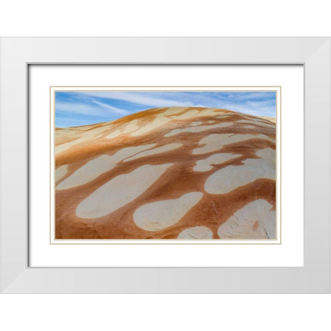 Utah, Glen Canyon Bleached patterns in sandstone White Modern Wood Framed Art Print with Double Matting by Paulson, Don