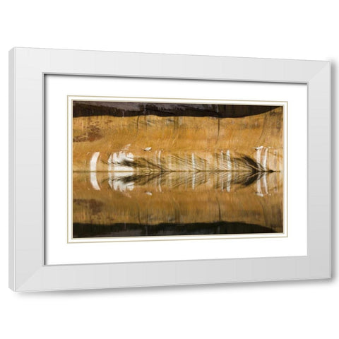 Utah, Glen Canyon Abstract reflection sandstone White Modern Wood Framed Art Print with Double Matting by Paulson, Don
