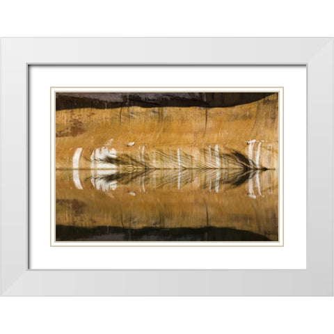 Utah, Glen Canyon Abstract reflection sandstone White Modern Wood Framed Art Print with Double Matting by Paulson, Don