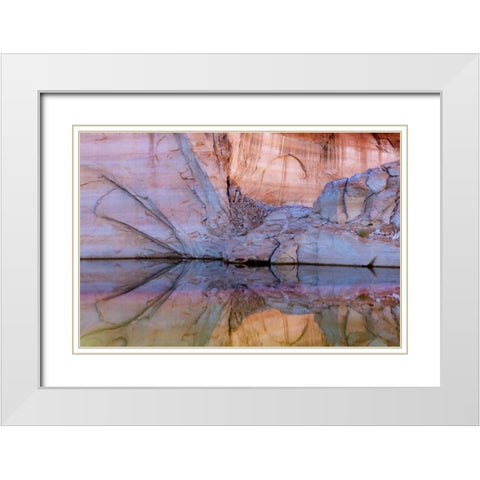 Utah, Glen Canyon Abstract reflection sandstone White Modern Wood Framed Art Print with Double Matting by Paulson, Don
