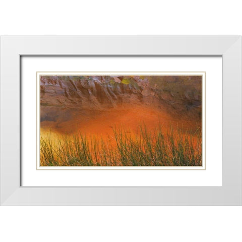 Utah, Glen Canyon NRA Reflection in Pool Canyon White Modern Wood Framed Art Print with Double Matting by Paulson, Don