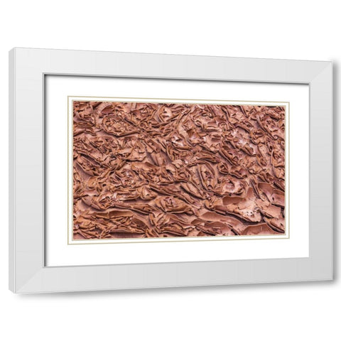 UT, Glen Canyon Dried mud left by Lake Powell White Modern Wood Framed Art Print with Double Matting by Paulson, Don