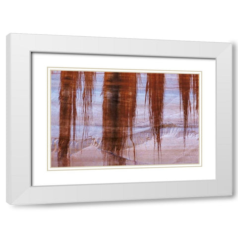 UT, Glen Canyon Sandstone with varnish stains White Modern Wood Framed Art Print with Double Matting by Paulson, Don