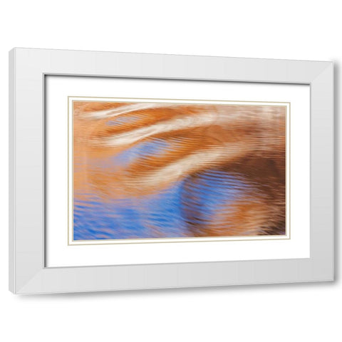 Utah, Glen Canyon Reflection in Lake Powell White Modern Wood Framed Art Print with Double Matting by Paulson, Don