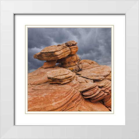 Utah, Dixie NF Sandstone formation in Yant Flats White Modern Wood Framed Art Print with Double Matting by Paulson, Don