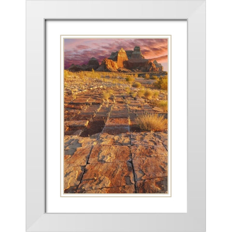 Utah, Glen Canyon Sunset on sandstone formations White Modern Wood Framed Art Print with Double Matting by Paulson, Don