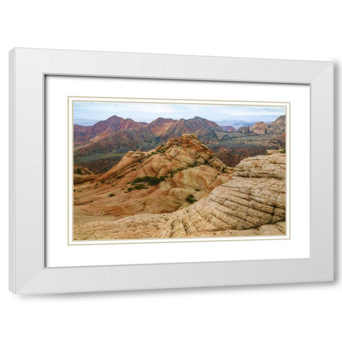 Utah Landscape in Dixie National Forest White Modern Wood Framed Art Print with Double Matting by Paulson, Don