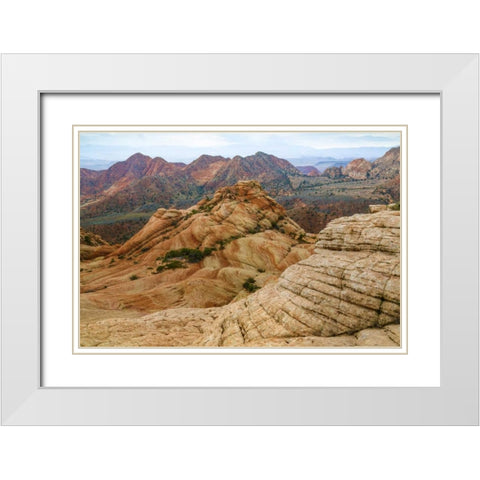 Utah Landscape in Dixie National Forest White Modern Wood Framed Art Print with Double Matting by Paulson, Don