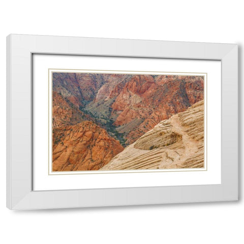 Utah Landscape in Dixie National Forest White Modern Wood Framed Art Print with Double Matting by Paulson, Don