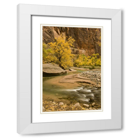 USA, Utah, Zion NP Virgin River autumn scenic White Modern Wood Framed Art Print with Double Matting by Bush, Marie