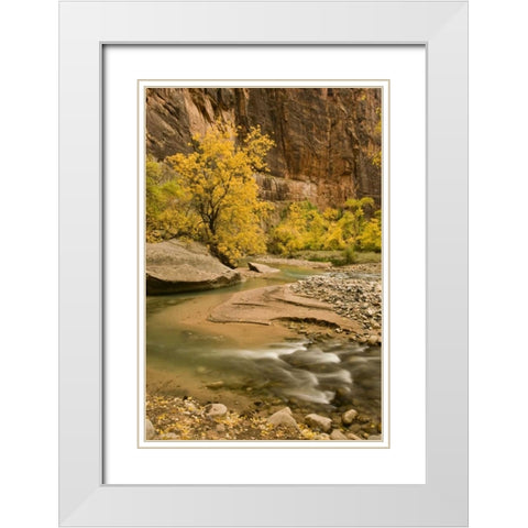 USA, Utah, Zion NP Virgin River autumn scenic White Modern Wood Framed Art Print with Double Matting by Bush, Marie