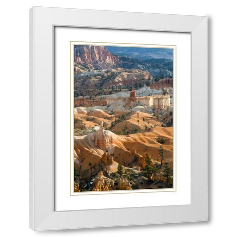 USA, Utah Hoodoo formations in Bryce Canyon NP White Modern Wood Framed Art Print with Double Matting by Rotenberg, Nancy