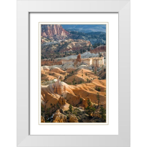 USA, Utah Hoodoo formations in Bryce Canyon NP White Modern Wood Framed Art Print with Double Matting by Rotenberg, Nancy