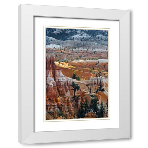 USA, Utah Hoodoo formations in Bryce Canyon NP White Modern Wood Framed Art Print with Double Matting by Rotenberg, Nancy