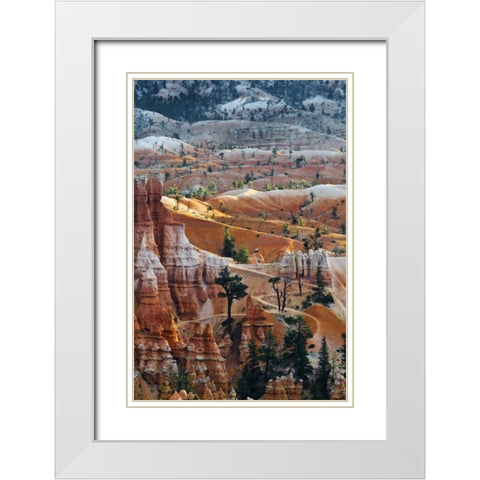 USA, Utah Hoodoo formations in Bryce Canyon NP White Modern Wood Framed Art Print with Double Matting by Rotenberg, Nancy