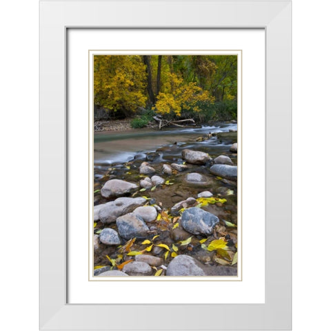 Utah, Zion NP The Narrows with fallen leaves White Modern Wood Framed Art Print with Double Matting by Rotenberg, Nancy