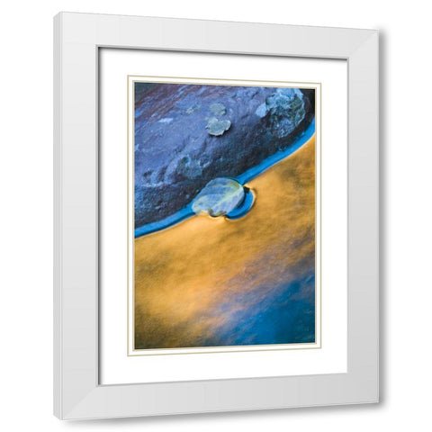 Utah, Zion NP Fall reflections in Pine Creek White Modern Wood Framed Art Print with Double Matting by Rotenberg, Nancy