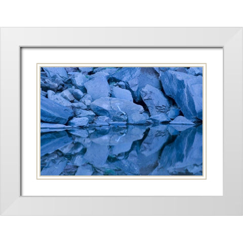 UT, Zion NP Reflection in Upper Emerald Pool White Modern Wood Framed Art Print with Double Matting by Bush, Marie