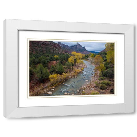 Utah, Zion NP Virgin River and cottonwood trees White Modern Wood Framed Art Print with Double Matting by Rotenberg, Nancy
