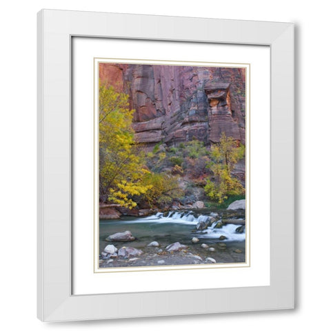 UT, Zion NP The Narrows with cottonwood trees White Modern Wood Framed Art Print with Double Matting by Rotenberg, Nancy