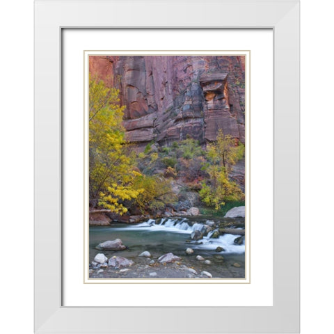 UT, Zion NP The Narrows with cottonwood trees White Modern Wood Framed Art Print with Double Matting by Rotenberg, Nancy