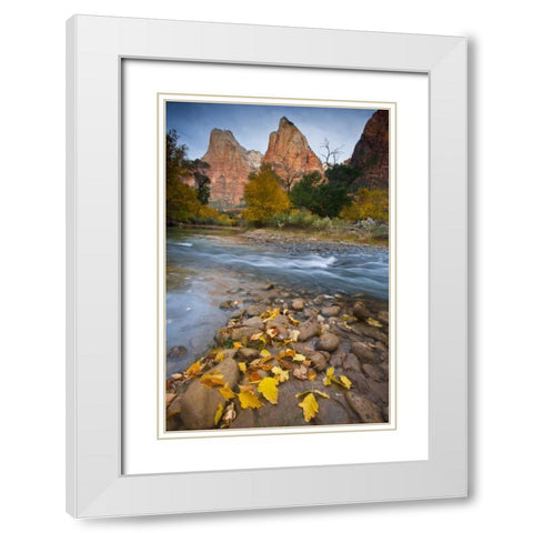 UT, Zion NP The Sentinel and the Virgin River White Modern Wood Framed Art Print with Double Matting by Rotenberg, Nancy